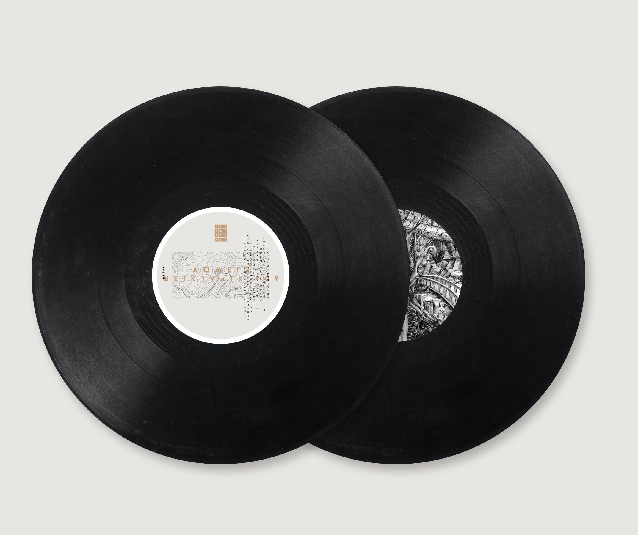 Music Terrae Music Label Vinyl Mockup Min
