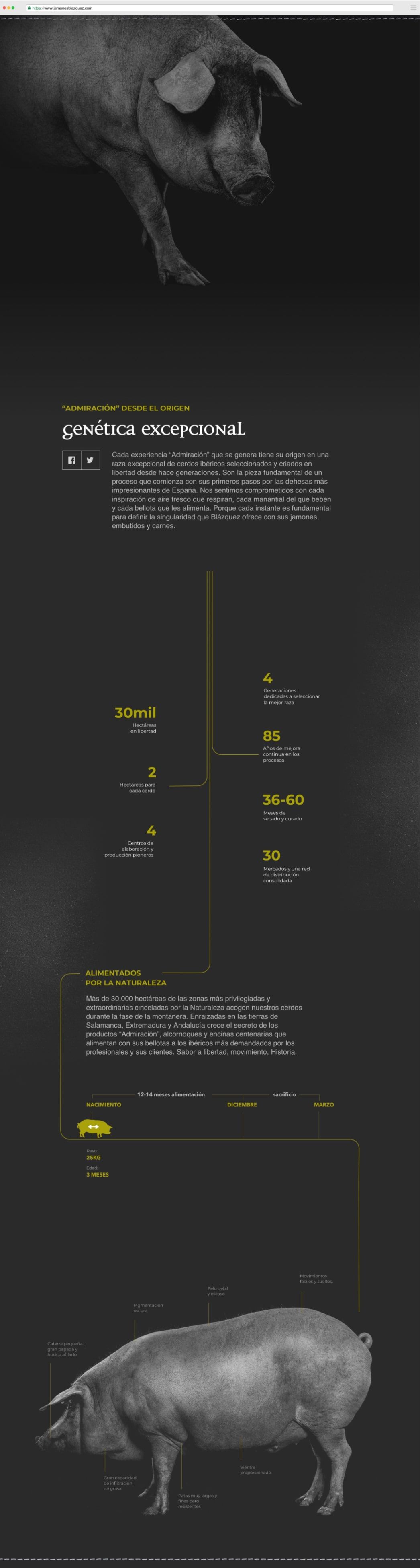 Jamones Blazquez Producto Min