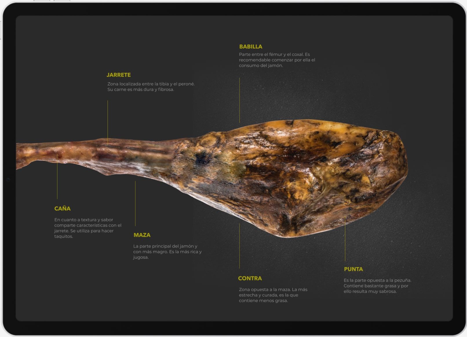 Jamones Blazquez Website Infography Jam Min
