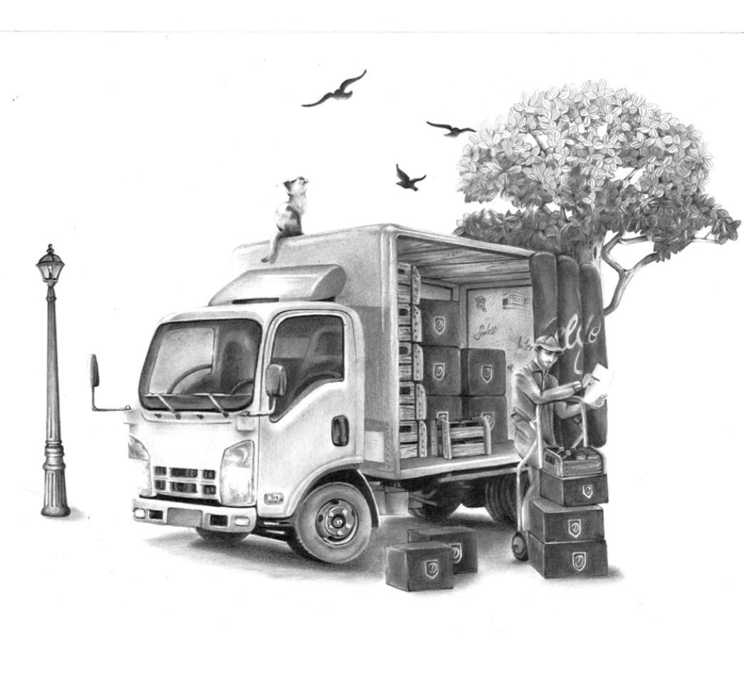 Delgado Seleccion Alina Muressan Ilustration Min