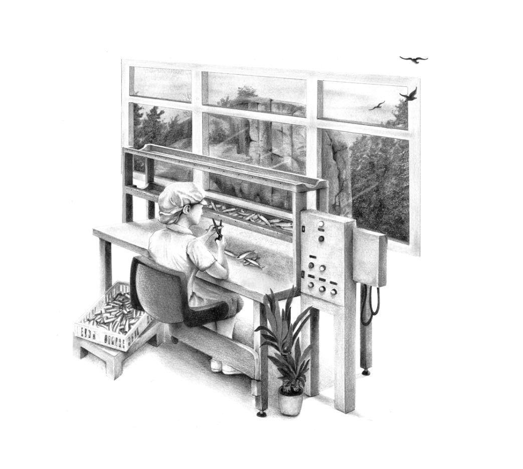 Delgado Seleccion Alina Muressan Ilustration3 Min