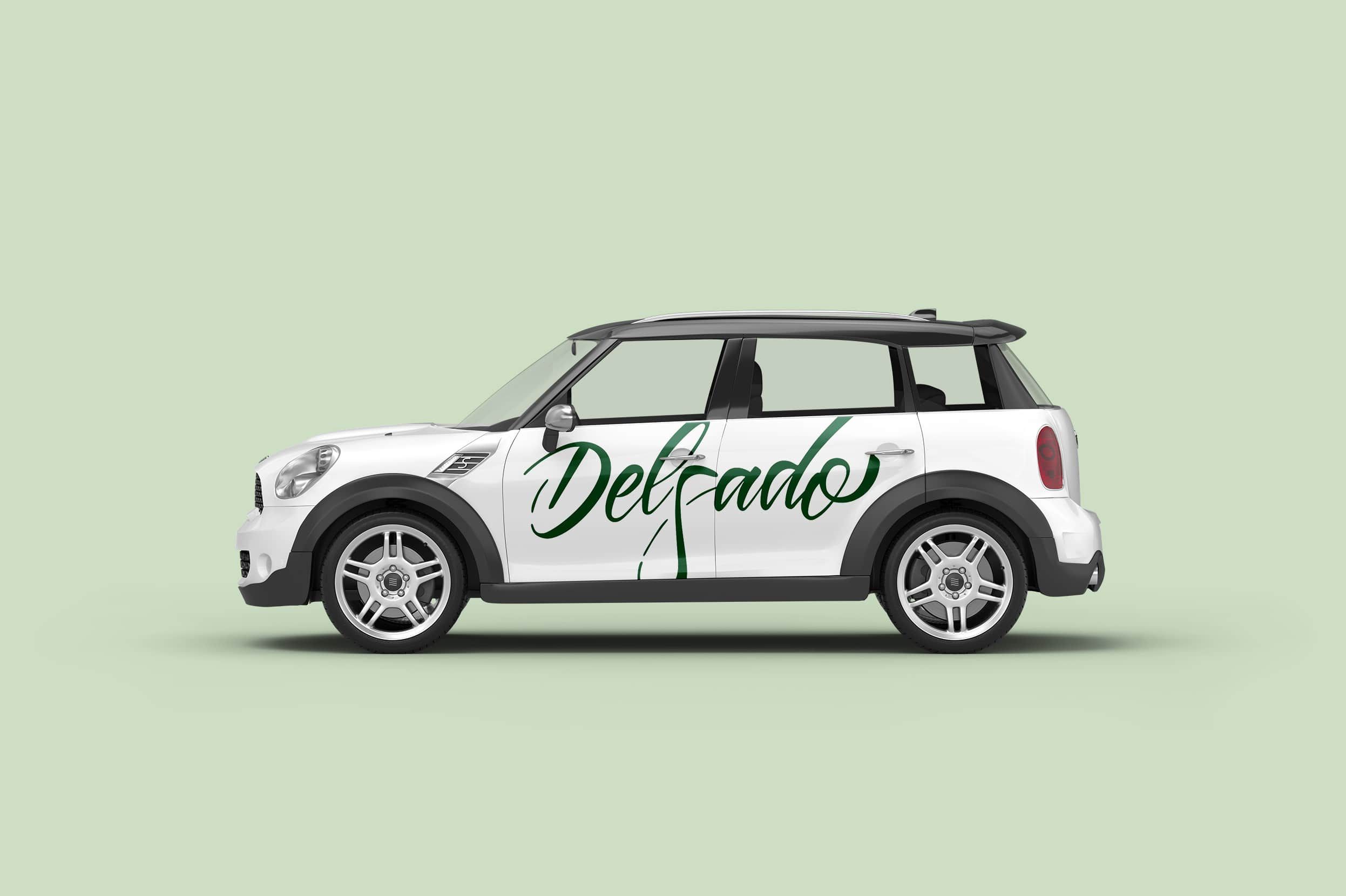 Delgado Vehiculo Comercial Min