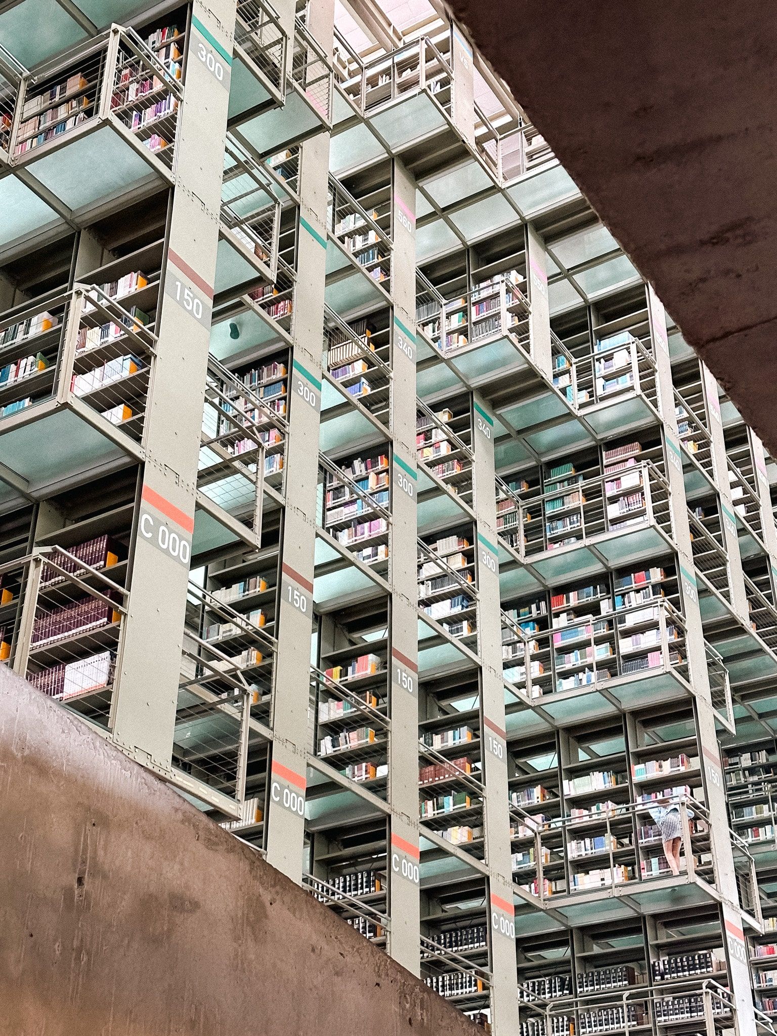 Vasconcelos Library Interiors