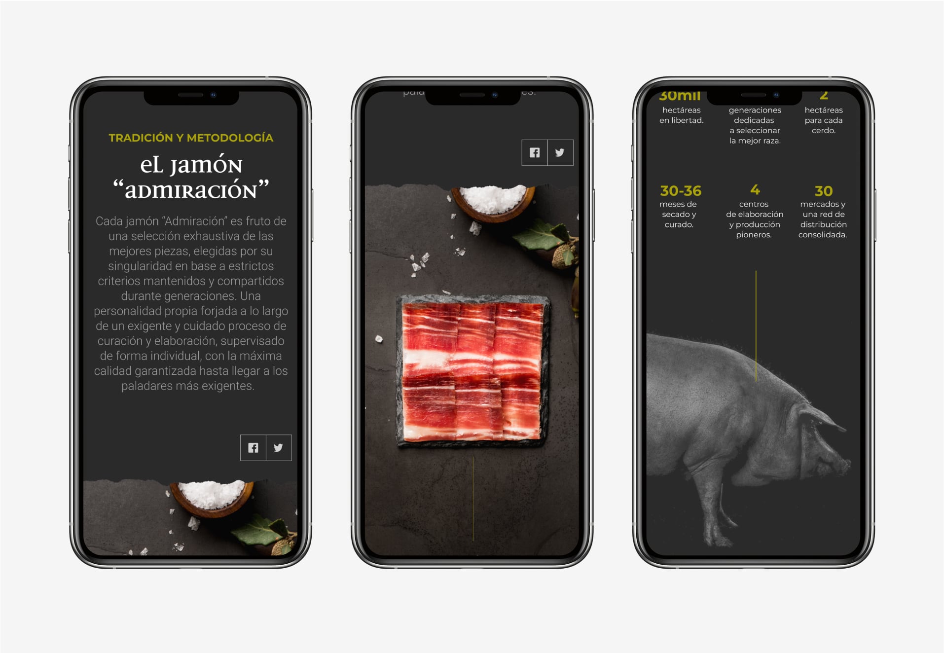 Jamones Blazquez Website shown in its mobile version