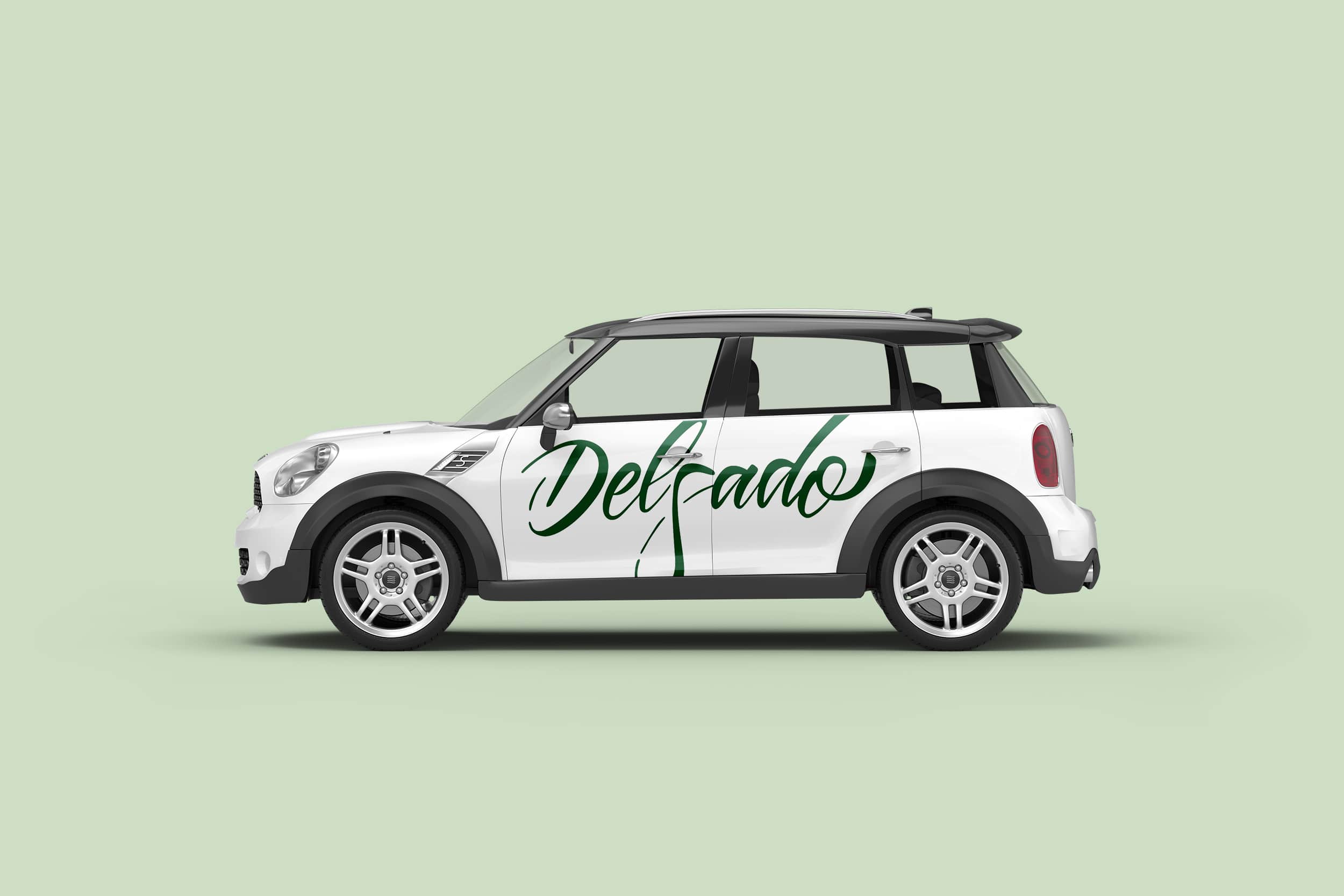 Delgado Vehiculo Comercial Min